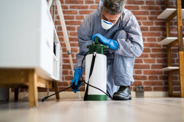 Best Residential Pest Control  in Socorro, TX